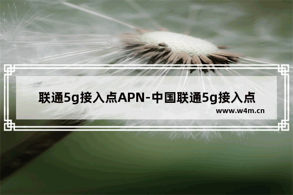 联通5g接入点APN-中国联通5g接入点apn全部参数