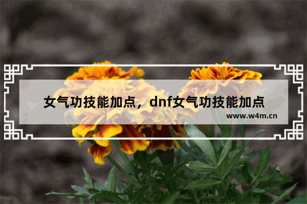 女气功技能加点，dnf女气功技能加点