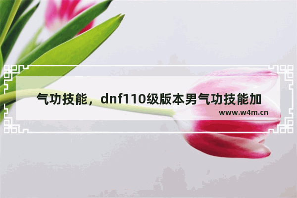 气功技能，dnf110级版本男气功技能加点