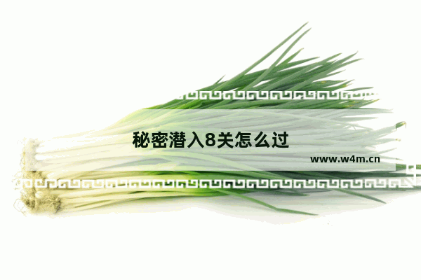 秘密潜入8关怎么过