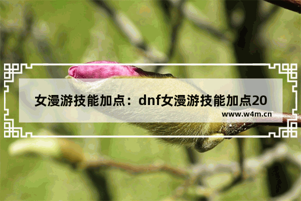 女漫游技能加点：dnf女漫游技能加点2023