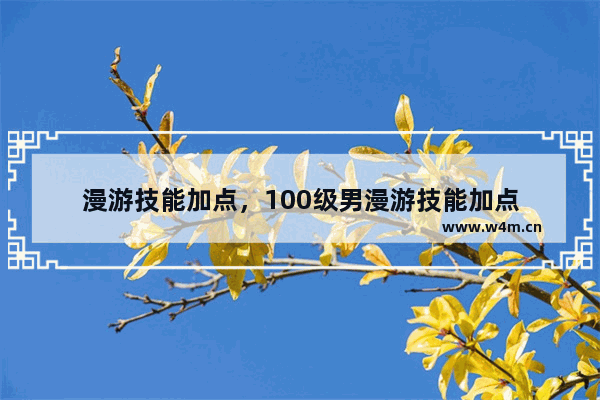 漫游技能加点，100级男漫游技能加点