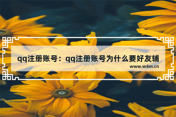 qq注册账号：qq注册账号为什么要好友辅助验证