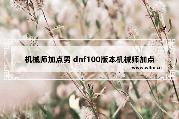 机械师加点男 dnf100版本机械师加点男