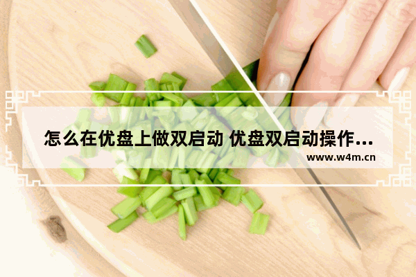 怎么在优盘上做双启动 优盘双启动操作方法