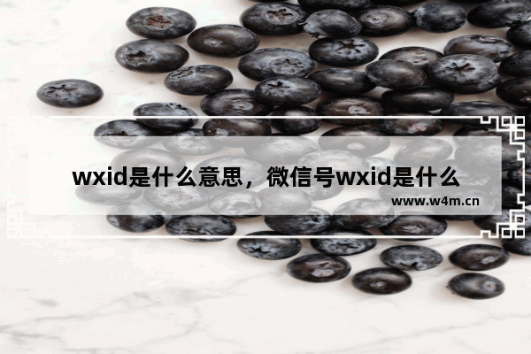 wxid是什么意思，微信号wxid是什么意思