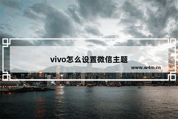 vivo怎么设置微信主题