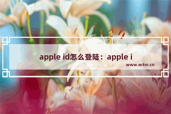 apple id怎么登陆：apple id怎么登陆网易大神