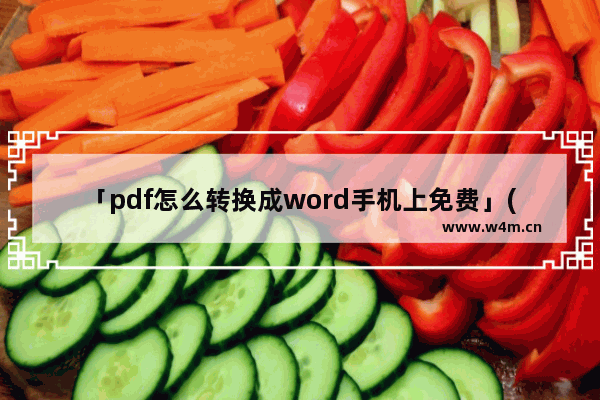 「pdf怎么转换成word手机上免费」(pdf怎么转换成word手机上免费28页)