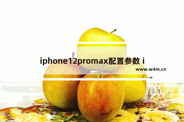 iphone12promax配置参数 iphone12promax配置参数表