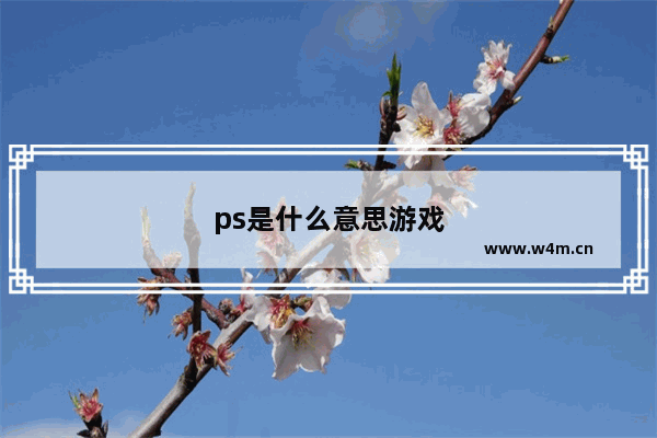 ps是什么意思游戏