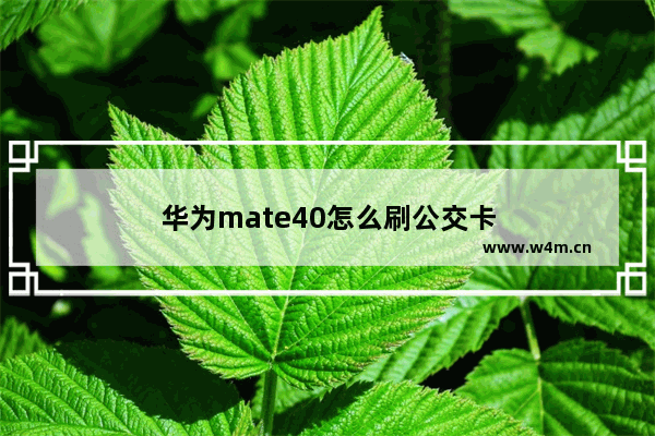 华为mate40怎么刷公交卡