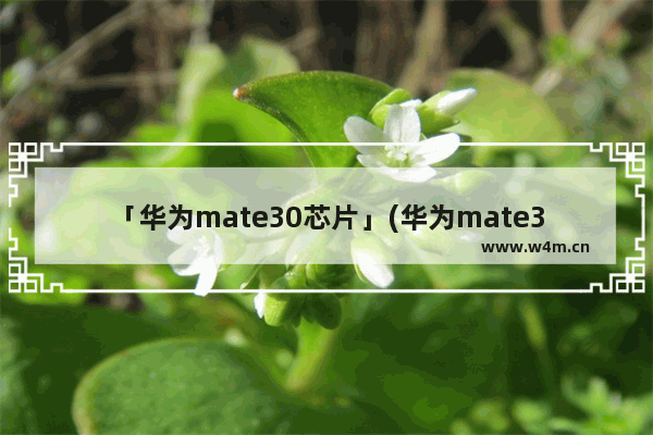 「华为mate30芯片」(华为mate30芯片几纳米)