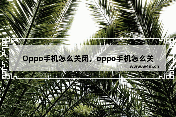 Oppo手机怎么关闭，oppo手机怎么关闭夜间免打扰模式