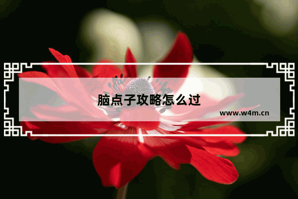 脑点子攻略怎么过