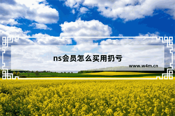 ns会员怎么买用扔亏