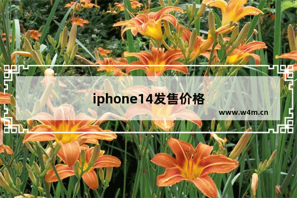 iphone14发售价格