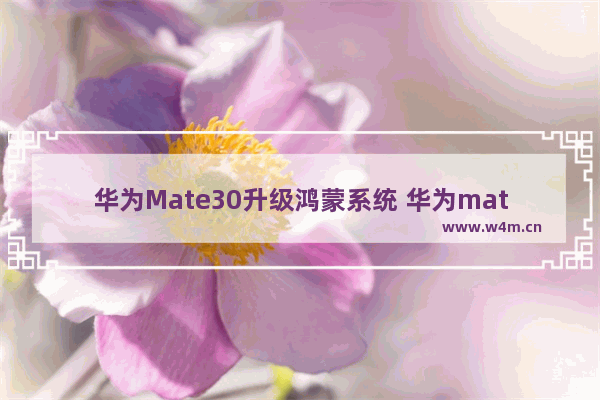 华为Mate30升级鸿蒙系统 华为mate30升级鸿蒙系统怎么样