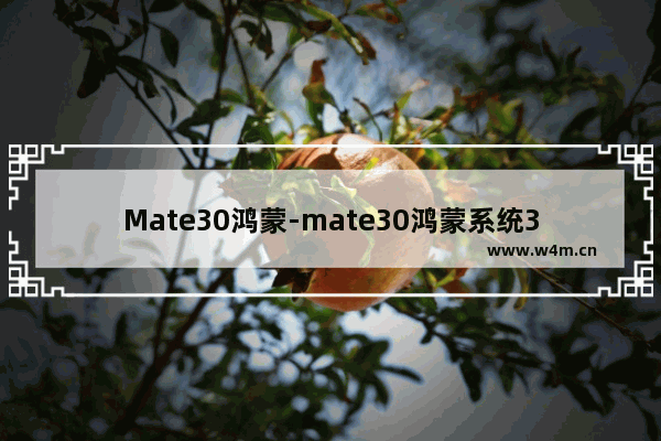 Mate30鸿蒙-mate30鸿蒙系统3.0升级名单