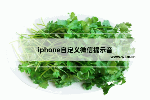 iphone自定义微信提示音