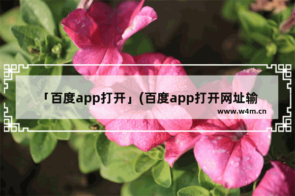 「百度app打开」(百度app打开网址输入栏)