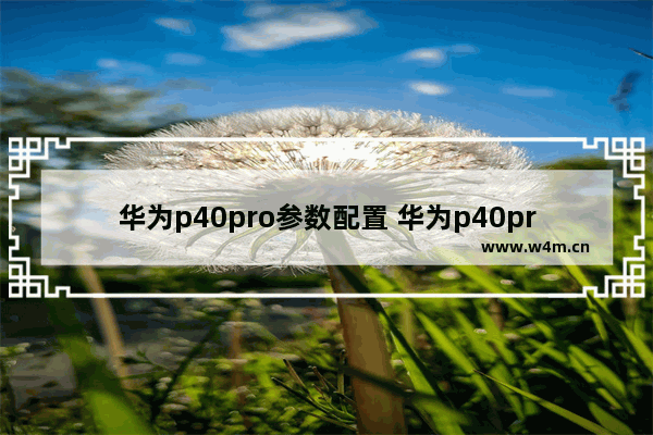 华为p40pro参数配置 华为p40pro参数配置详细和P5OPro