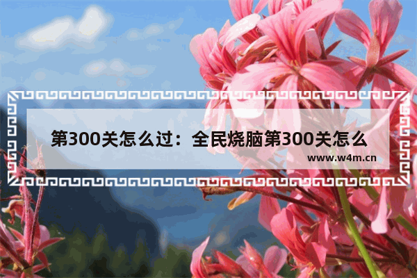 第300关怎么过：全民烧脑第300关怎么过攻略教程