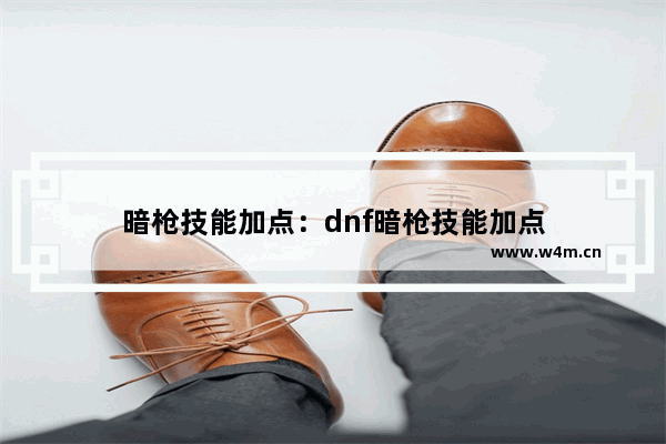 暗枪技能加点：dnf暗枪技能加点