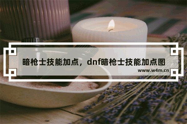 暗枪士技能加点，dnf暗枪士技能加点图