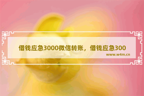 借钱应急3000微信转账，借钱应急3000微信转账家里有事