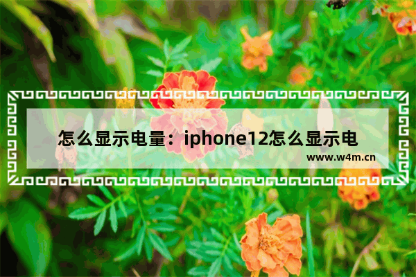 怎么显示电量：iphone12怎么显示电量百分比食用油保持过有什么