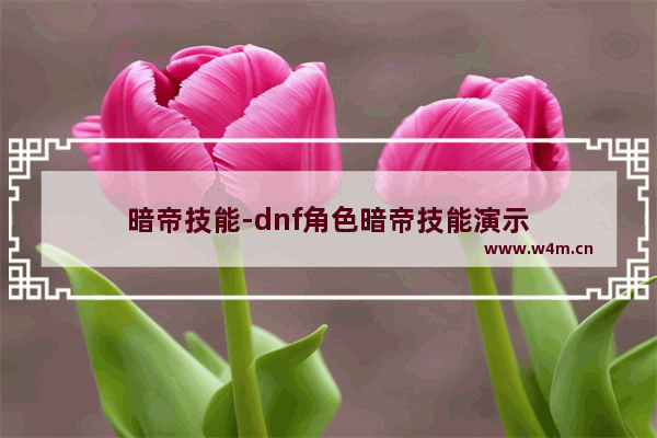 暗帝技能-dnf角色暗帝技能演示