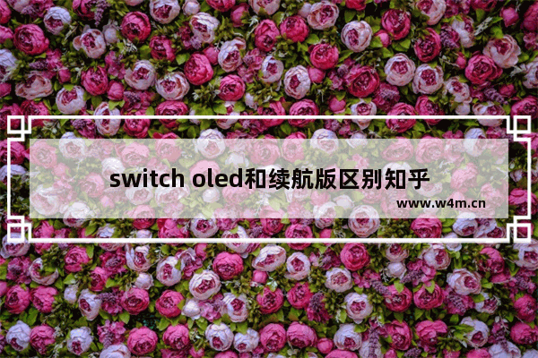 switch oled和续航版区别知乎