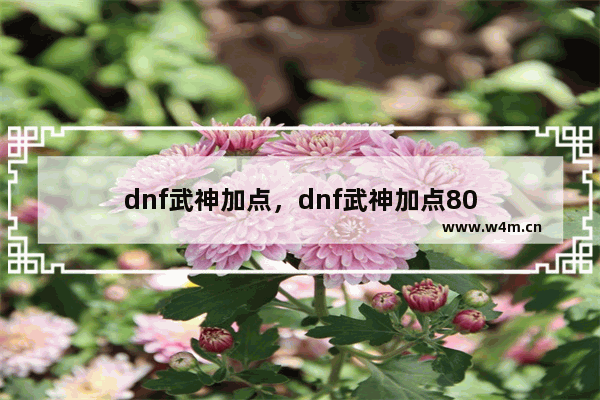 dnf武神加点，dnf武神加点80