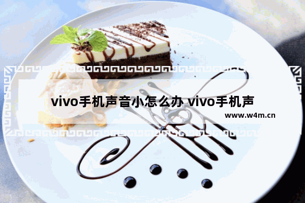 vivo手机声音小怎么办 vivo手机声音小怎么办解决