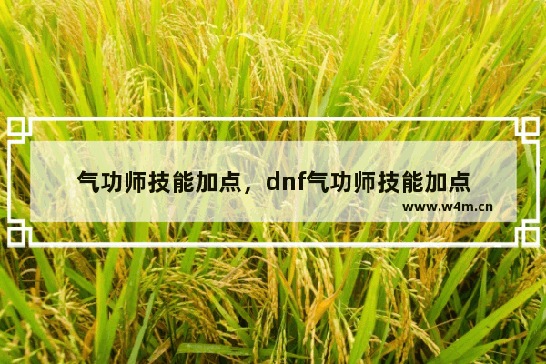 气功师技能加点，dnf气功师技能加点