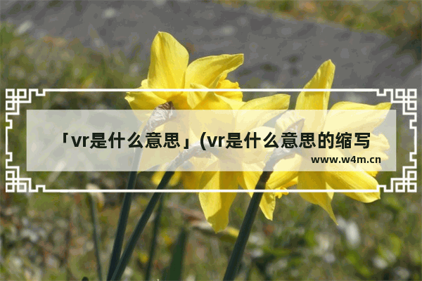 「vr是什么意思」(vr是什么意思的缩写)