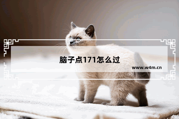 脑子点171怎么过