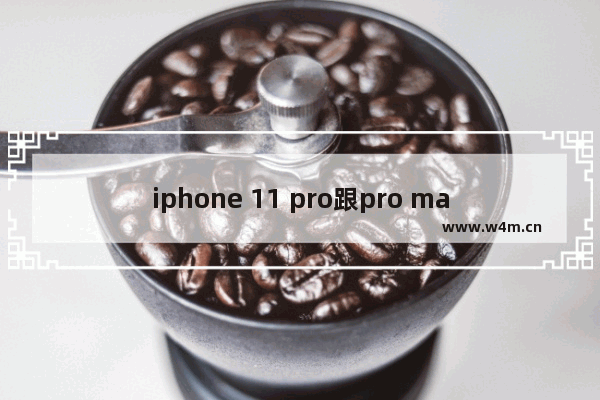 iphone 11 pro跟pro max买哪一款好