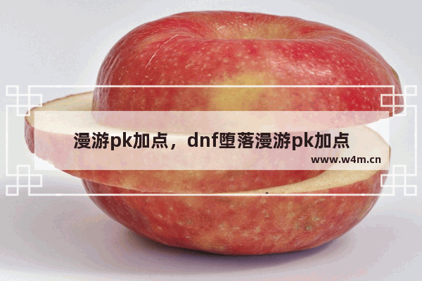 漫游pk加点，dnf堕落漫游pk加点