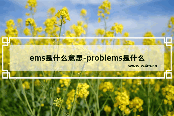 ems是什么意思-problems是什么意思中文翻译成