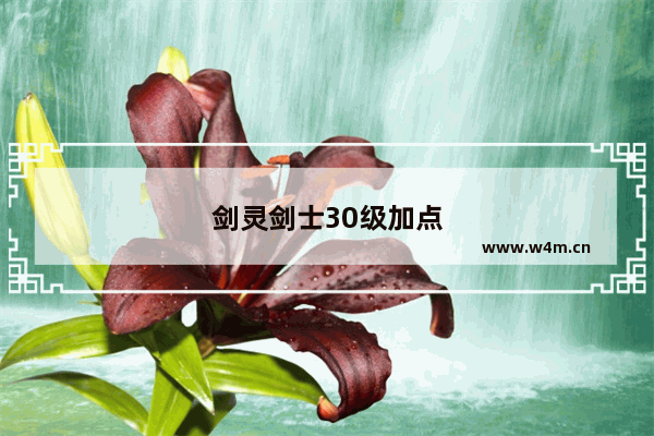 剑灵剑士30级加点