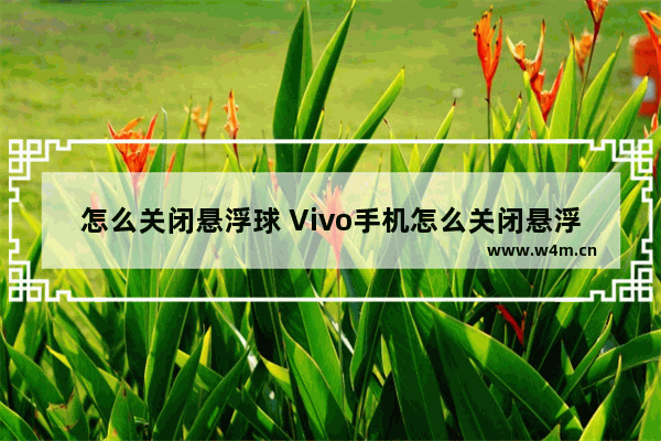 怎么关闭悬浮球 Vivo手机怎么关闭悬浮球?