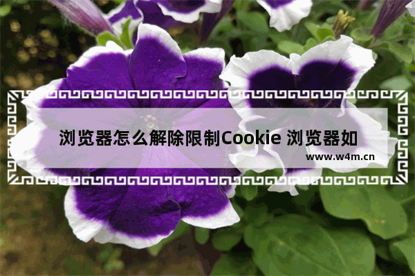 浏览器怎么解除限制Cookie 浏览器如何取消Cookie限制