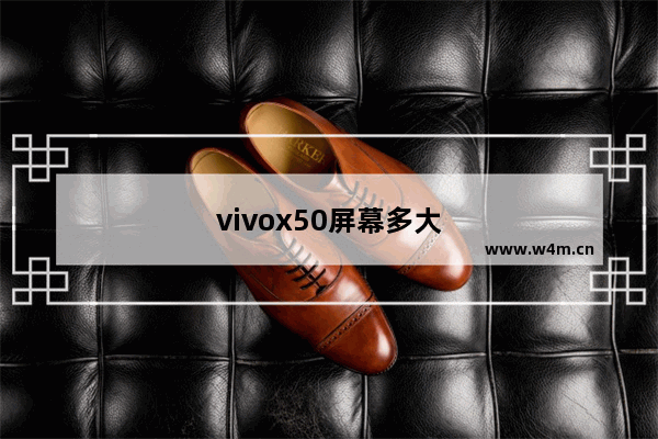 vivox50屏幕多大