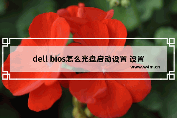 dell bios怎么光盘启动设置 设置Dell电脑光盘启动方法