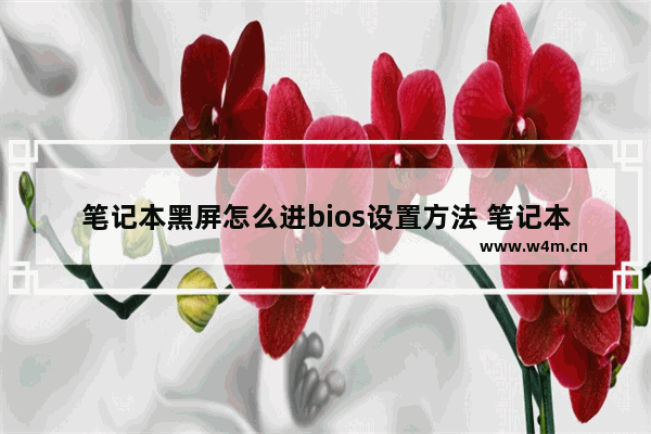 笔记本黑屏怎么进bios设置方法 笔记本如何进入BIOS设置界面