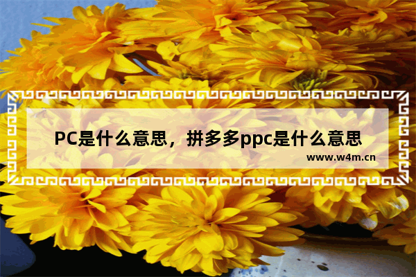 PC是什么意思，拼多多ppc是什么意思