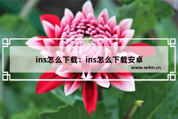 ins怎么下载：ins怎么下载安卓