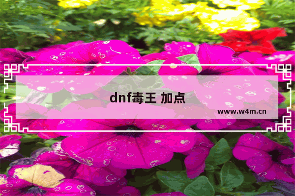 dnf毒王 加点